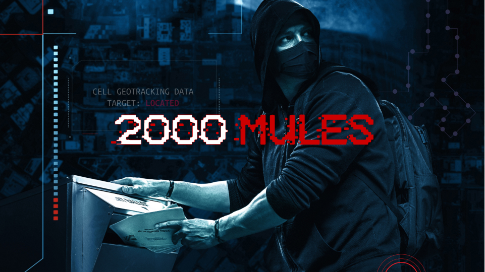 2000 Mules Free Online